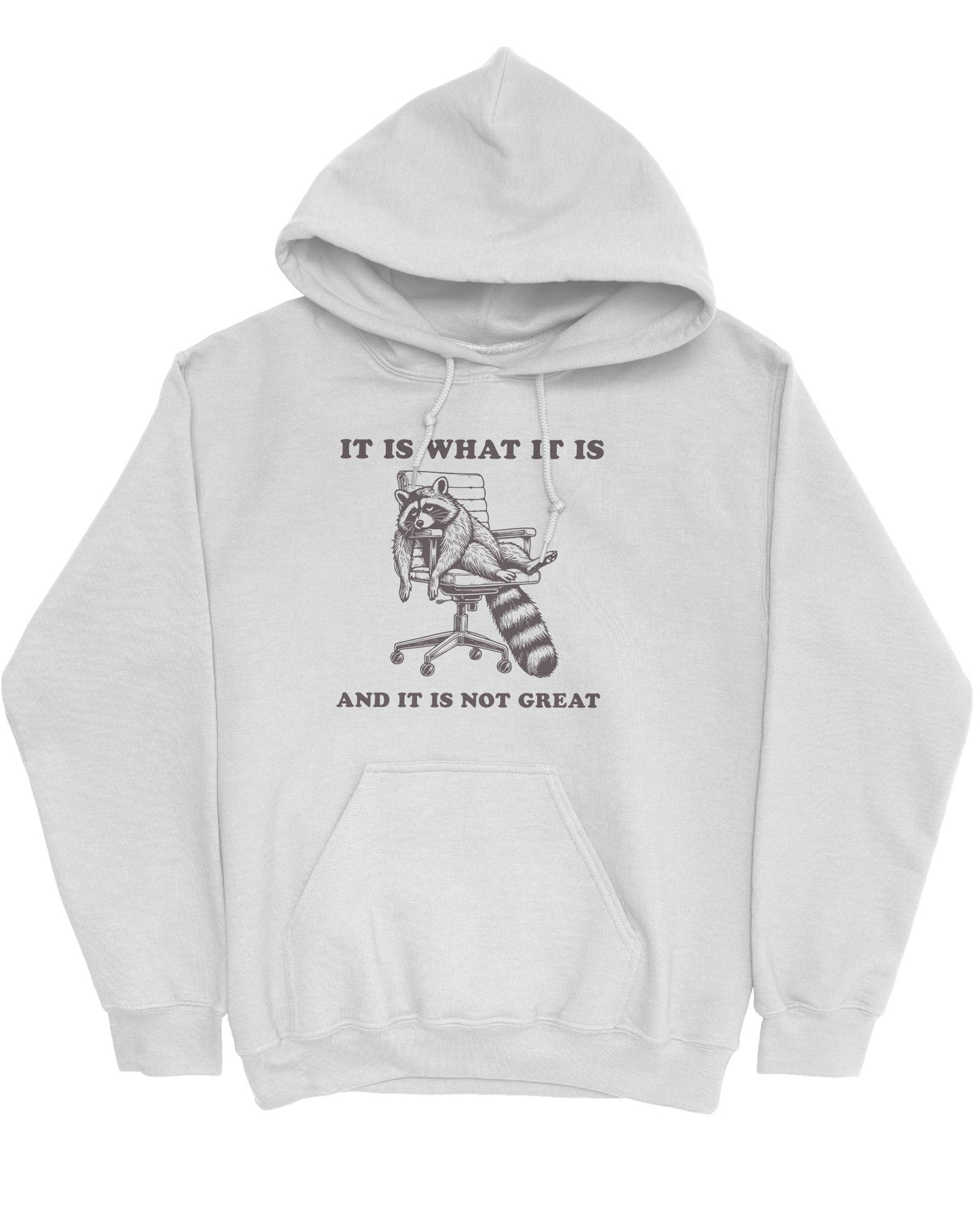 Flat lay of an ash gray 'It Is What It Is And It Is Not Great' hoodie with a funny retro graphic of an exhausted raccoon sitting on a chair.