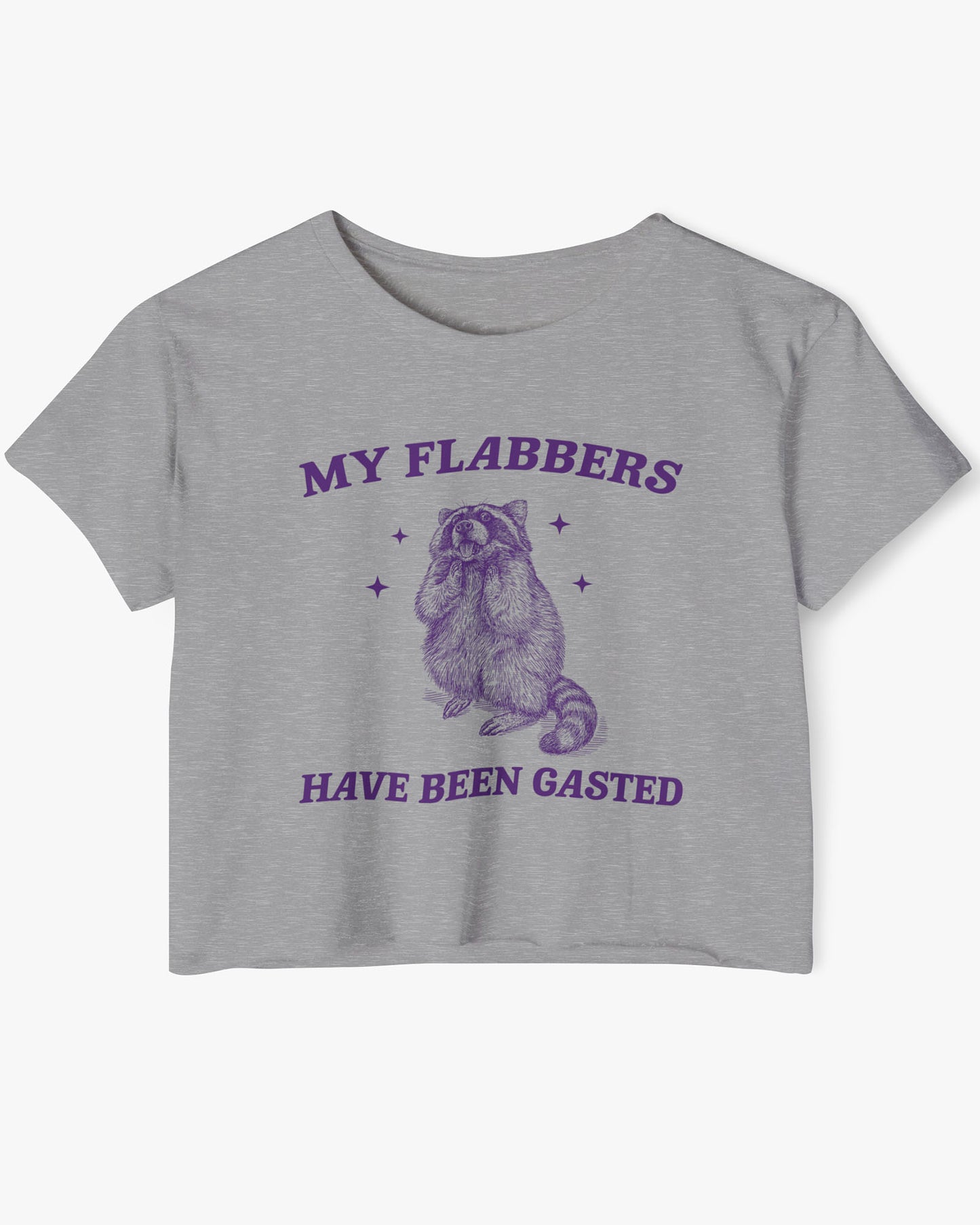 Flat lay dark heather 'My Flabbers Have Been Gasted' crop top featuring a funny retro raccoon freaking out graphic.