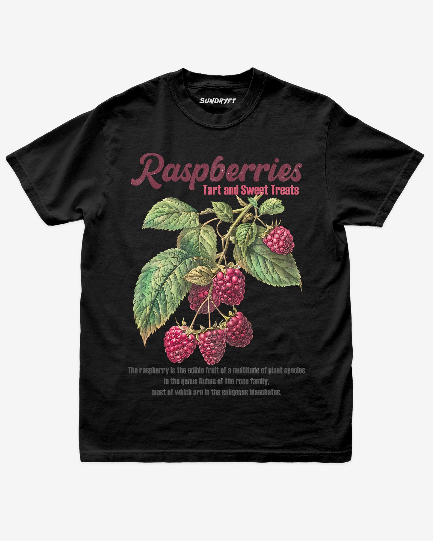 Raspberries Fruit Shirt flat lay in black – retro 90s vintage fruit graphic tee with relaxed unisex fit, soft cotton, and raspberry label design.”