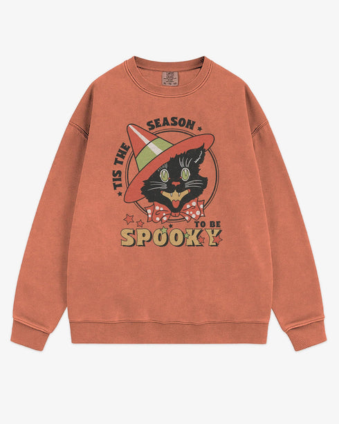 Flat lay terracotta 'Tis The Season To Be Spooky' sweatshirt with retro Halloween graphic of a grinning black cat with hat.