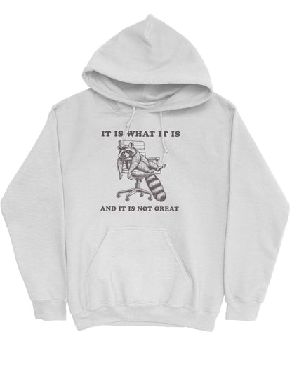 Flat lay of an ash gray 'It Is What It Is And It Is Not Great' hoodie with a funny retro graphic of an exhausted raccoon sitting on a chair.