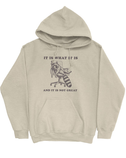 Flat lay of a sand beige 'It Is What It Is And It Is Not Great' hoodie with a funny retro graphic of an exhausted raccoon sitting on a chair.