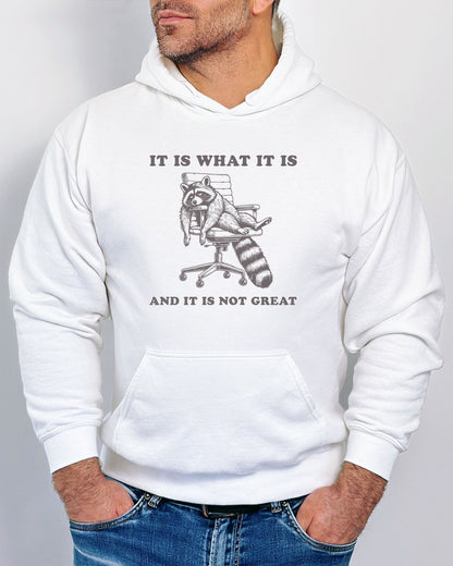 Man wearing a white 'It Is What It Is And It Is Not Great' hoodie with a funny retro graphic of an exhausted raccoon sitting on a chair.