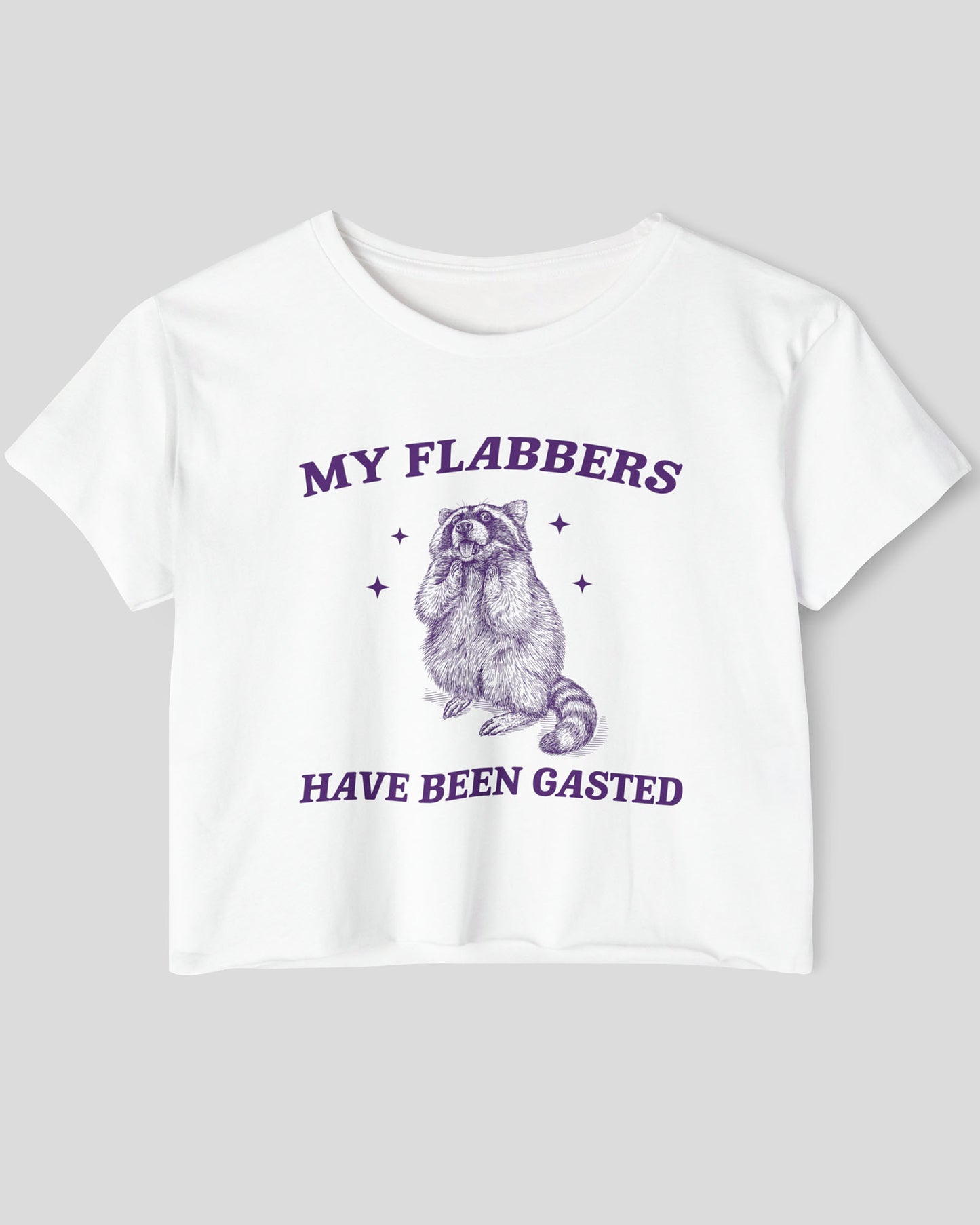 Flat lay white 'My Flabbers Have Been Gasted' crop top featuring a funny retro raccoon freaking out graphic.