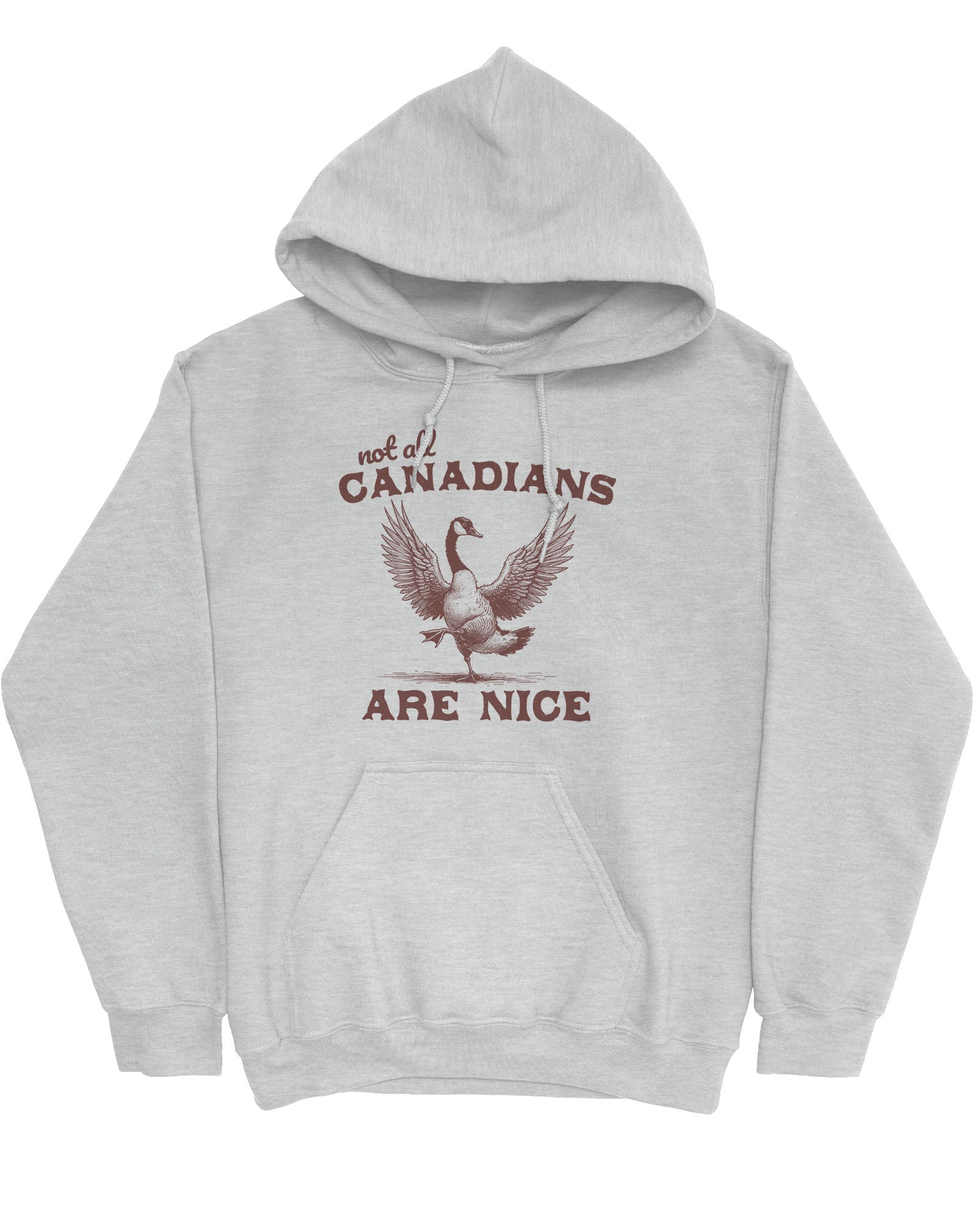 Flat lay ash-colored 'Not All Canadians Are Nice' hoodie featuring a funny canadian goose retro graphic.