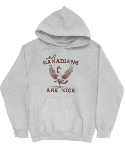 Flat lay ash-colored 'Not All Canadians Are Nice' hoodie featuring a funny canadian goose retro graphic.