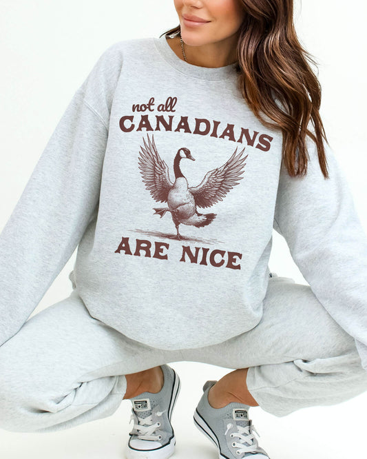 Woman wearing an ash gray sweatshirt featuring a funny retro bird graphic and the quote 'Not All Canadians Are Nice'.