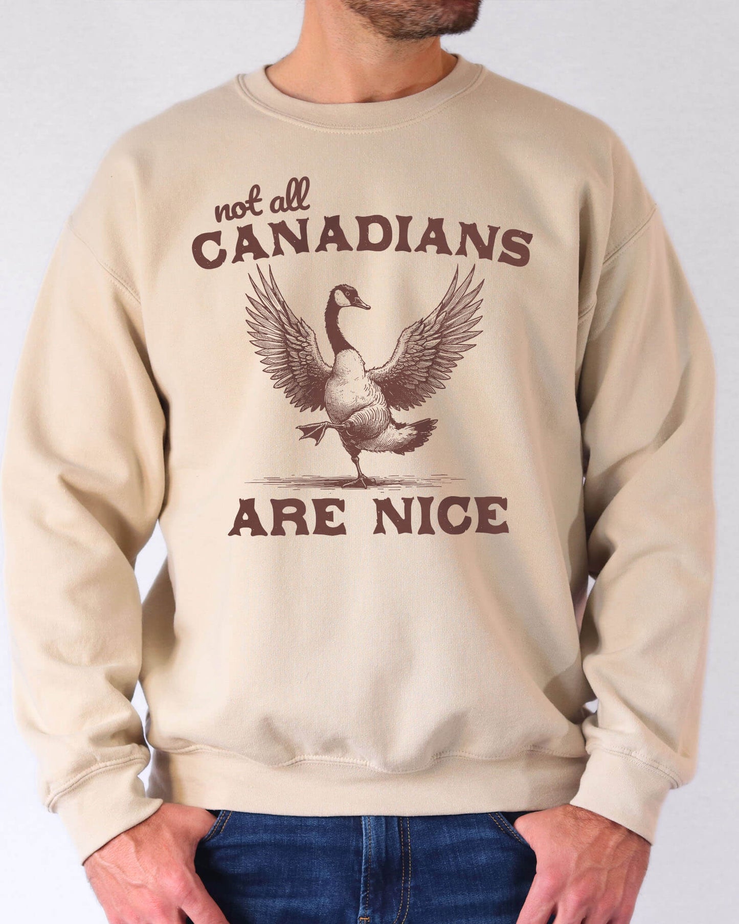 Man wearing a sand beige sweatshirt featuring a funny retro bird graphic and the quote 'Not All Canadians Are Nice'.