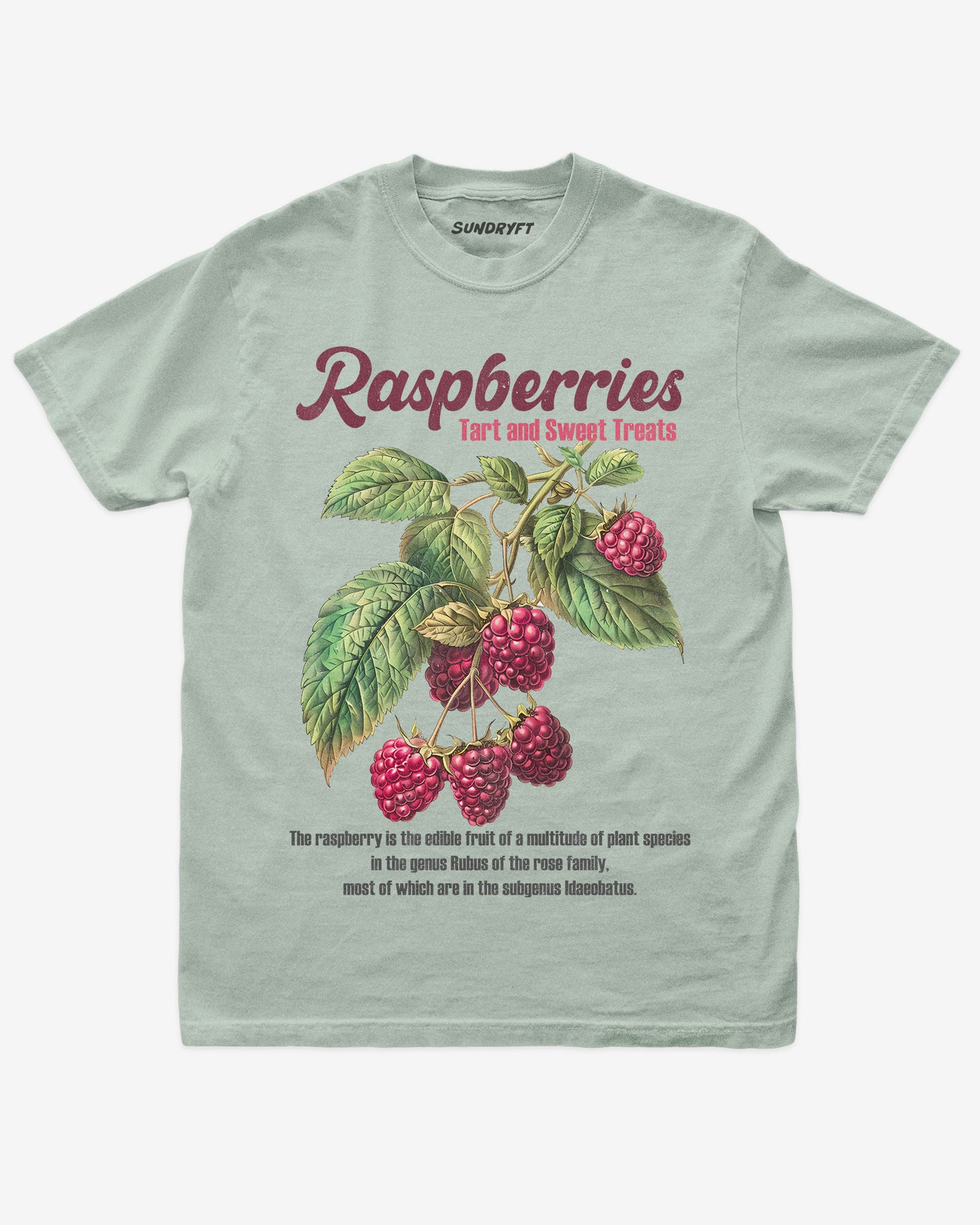 Raspberries Fruit Shirt flat lay in bay – retro 90s vintage fruit graphic tee with relaxed unisex fit, soft cotton, and raspberry label design.”