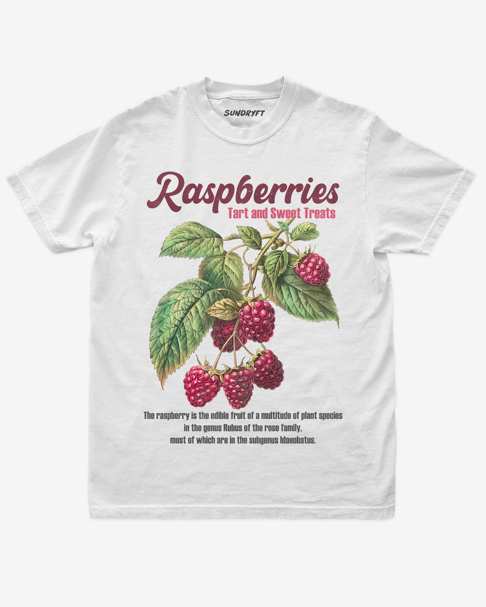 Raspberries Fruit Shirt flat lay in white – retro 90s vintage fruit graphic tee with relaxed unisex fit, soft cotton, and raspberry label design.”