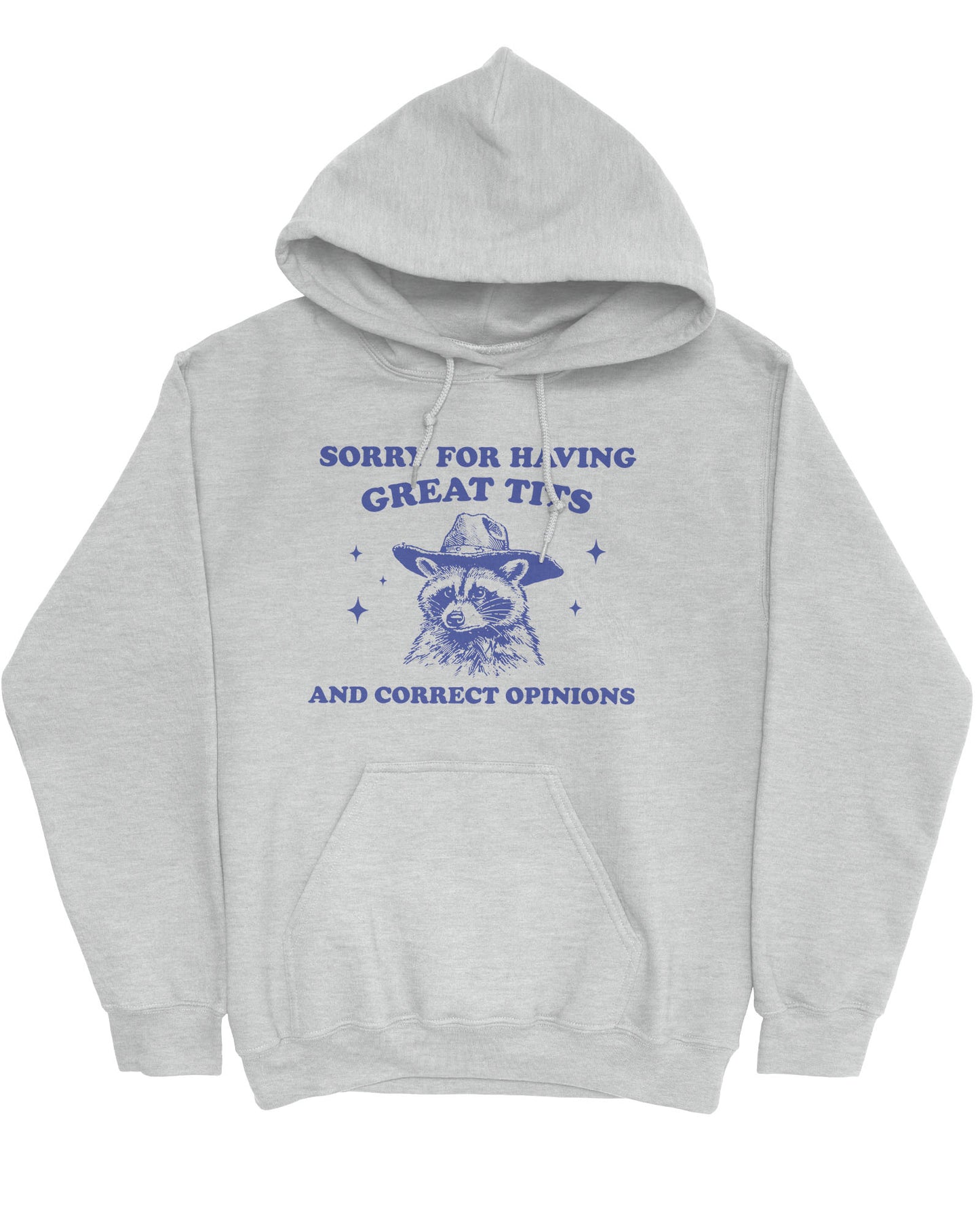 Flat lay of an ash gray hoodie with a funny retro cowboy raccoon graphic and the phrase 'Sorry For Having Great Tits And Correct Opinions'.