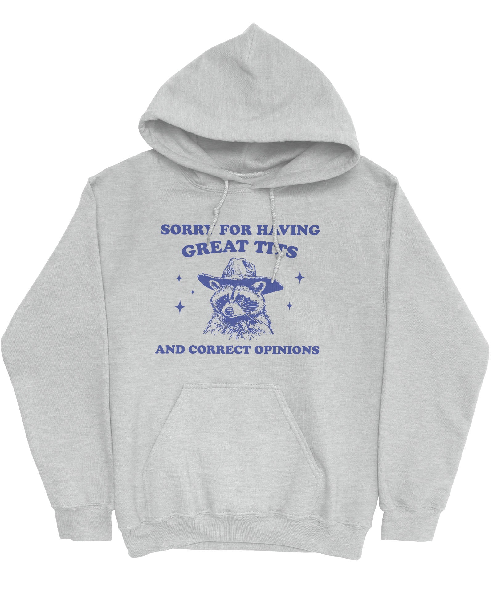 Flat lay of an ash gray hoodie with a funny retro cowboy raccoon graphic and the phrase 'Sorry For Having Great Tits And Correct Opinions'.
