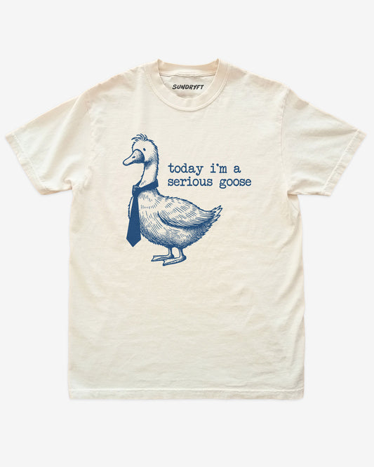Today I'm A Serious Goose shirt