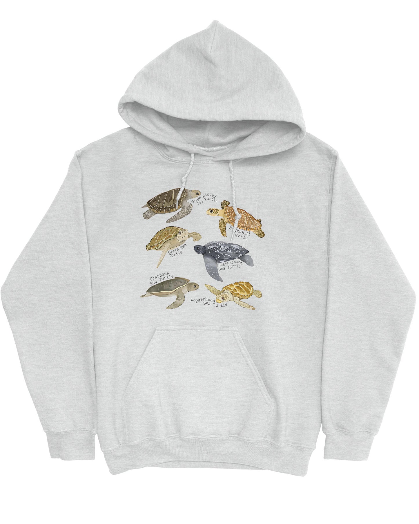 Flat lay of an ash gray hoodie featuring a vintage-style graphic of various turtle species with their specific names.