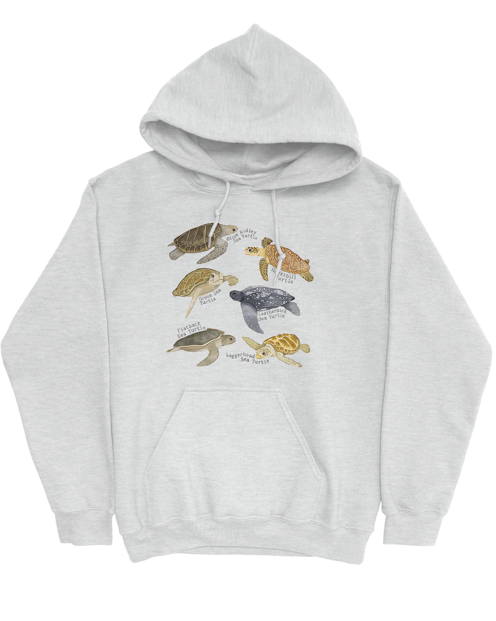 Flat lay of an ash gray hoodie featuring a vintage-style graphic of various turtle species with their specific names.