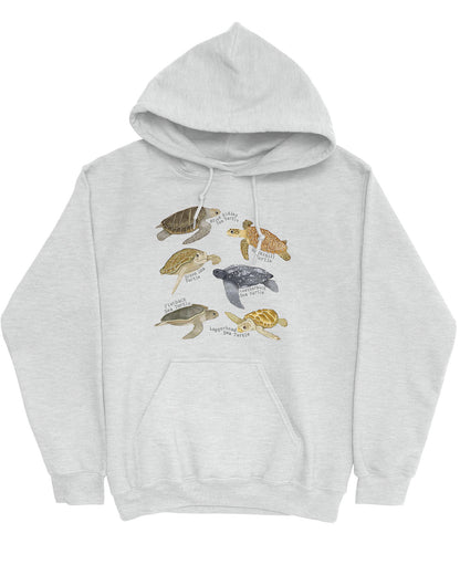 Flat lay of an ash gray hoodie featuring a vintage-style graphic of various turtle species with their specific names.