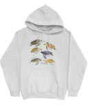 Flat lay of an ash gray hoodie featuring a vintage-style graphic of various turtle species with their specific names.