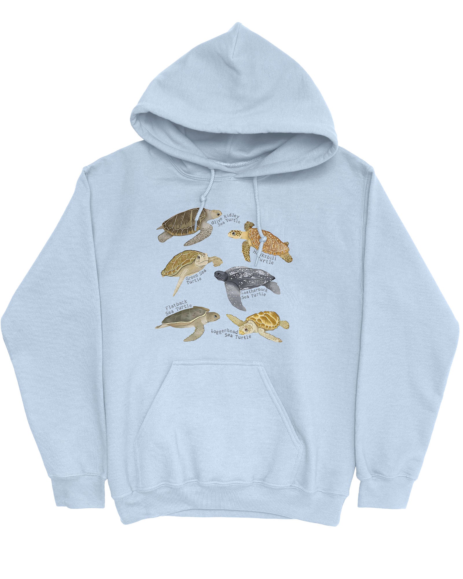 Flat lay of a light blue hoodie featuring a vintage-style graphic of various turtle species with their specific names.
