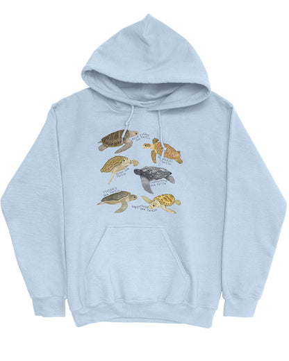 Flat lay of a light blue hoodie featuring a vintage-style graphic of various turtle species with their specific names.