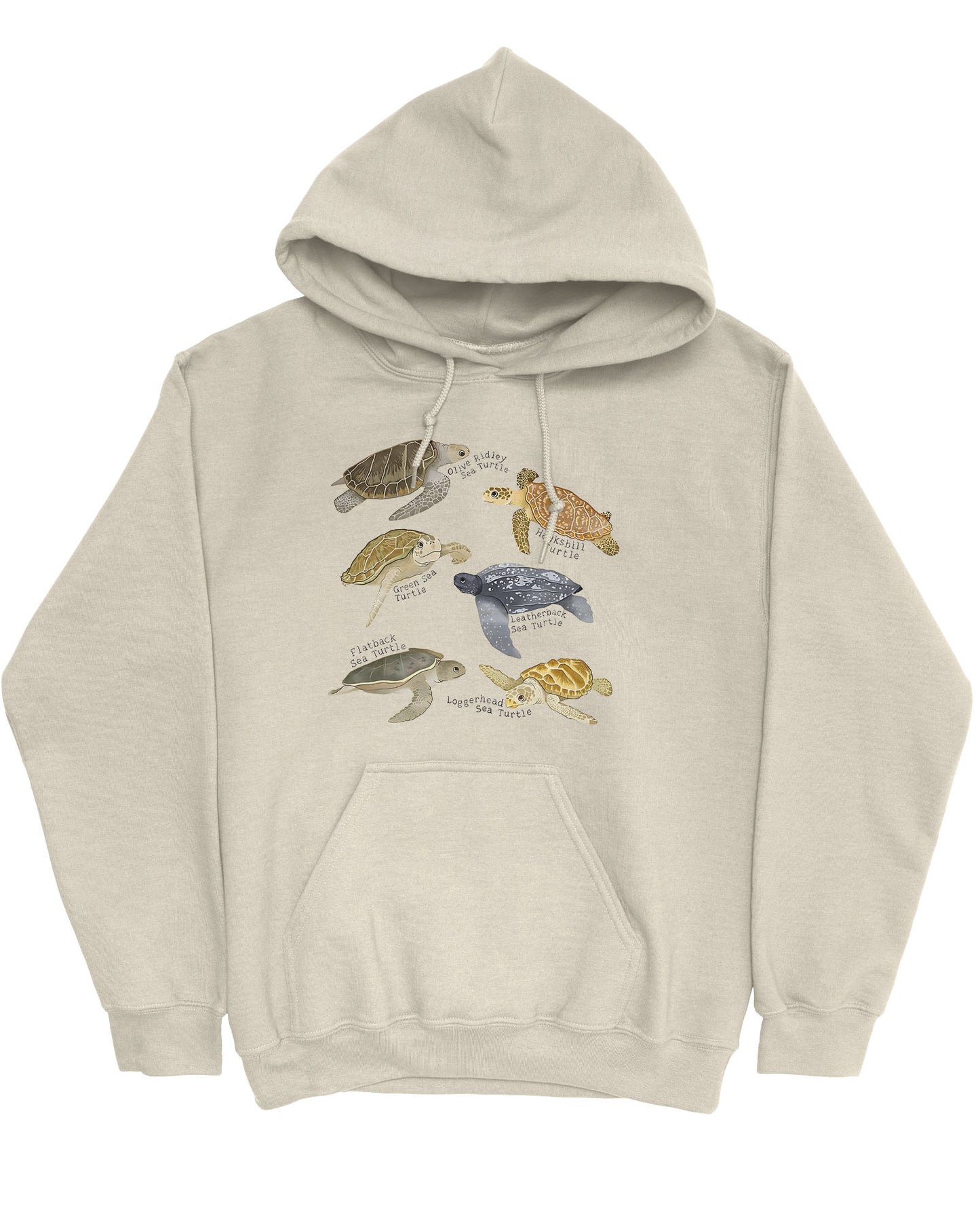 Flat lay of a sand beige hoodie featuring a vintage-style graphic of various turtle species with their specific names.