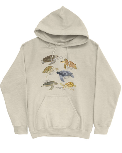 Flat lay of a sand beige hoodie featuring a vintage-style graphic of various turtle species with their specific names.