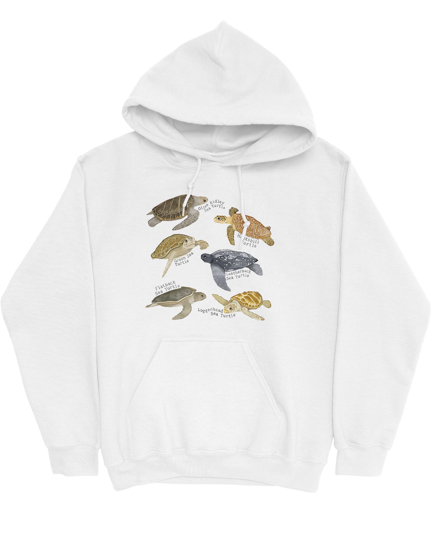 Flat lay of a white hoodie featuring a vintage-style graphic of various turtle species with their specific names.