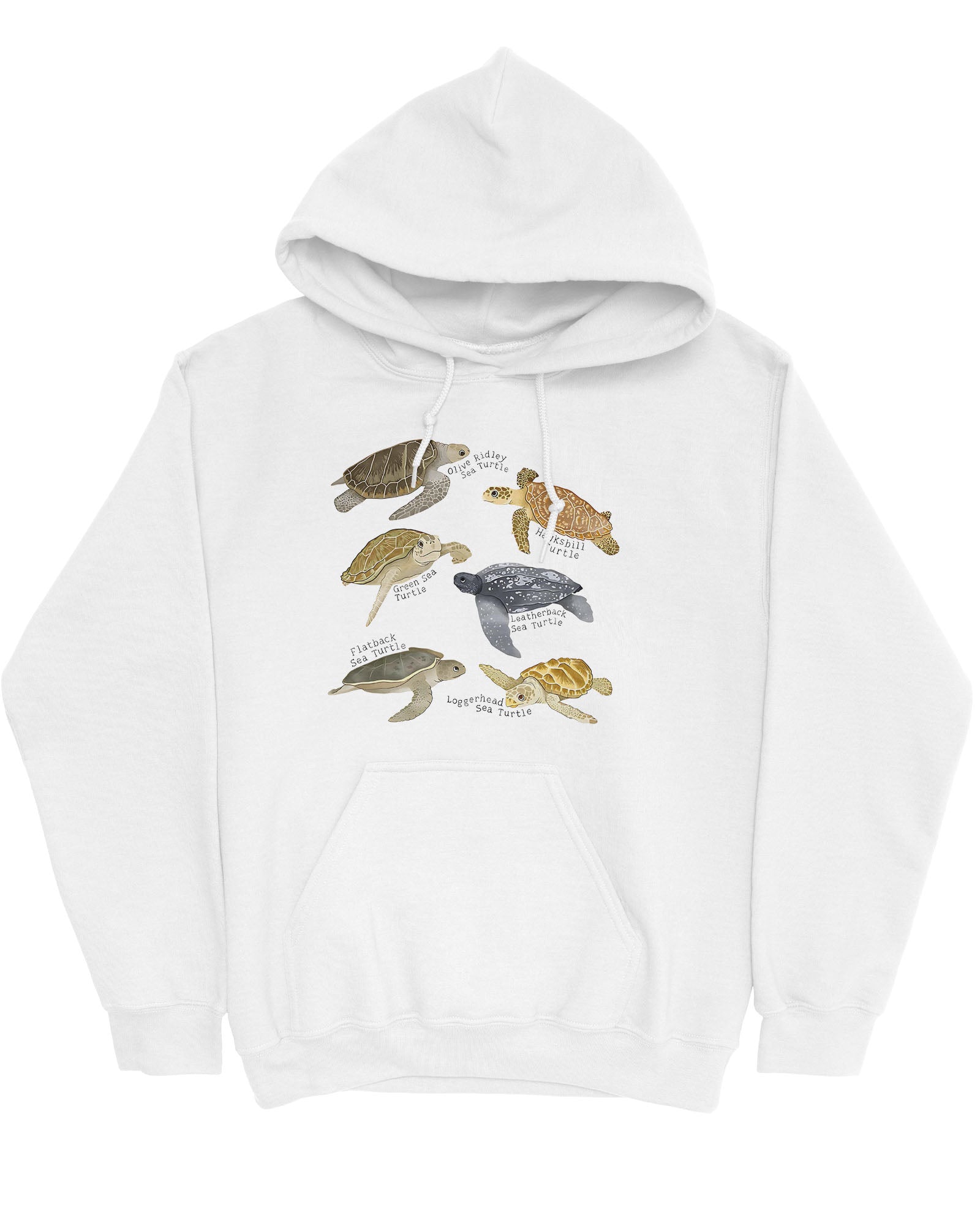 Flat lay of a white hoodie featuring a vintage-style graphic of various turtle species with their specific names.