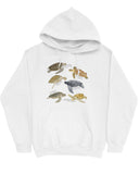 Flat lay of a white hoodie featuring a vintage-style graphic of various turtle species with their specific names.