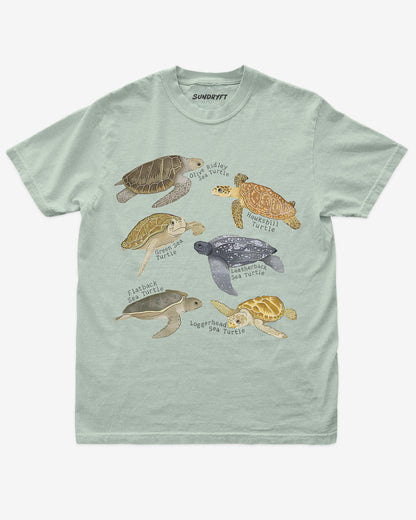 Bay shirt with illustrated sea turtle collage and official species names