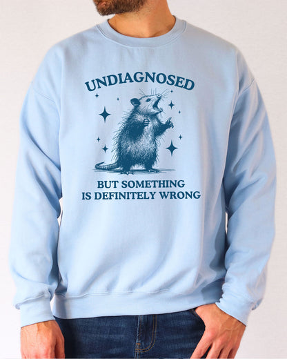 Model wearing light blue color sweatshirt with 'Undiagnosed, But Something Is Definitely Wrong' graphic design