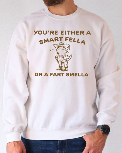 Man wearing a white sweatshirt featuring a funny retro country frog graphic and the quote 'You're Either A Smart Fella Or A Fart Smella'.