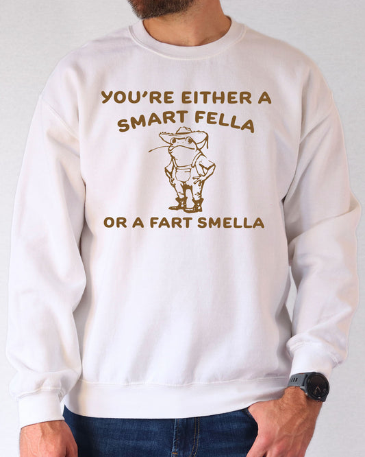 Man wearing a white sweatshirt featuring a funny retro country frog graphic and the quote 'You're Either A Smart Fella Or A Fart Smella'.